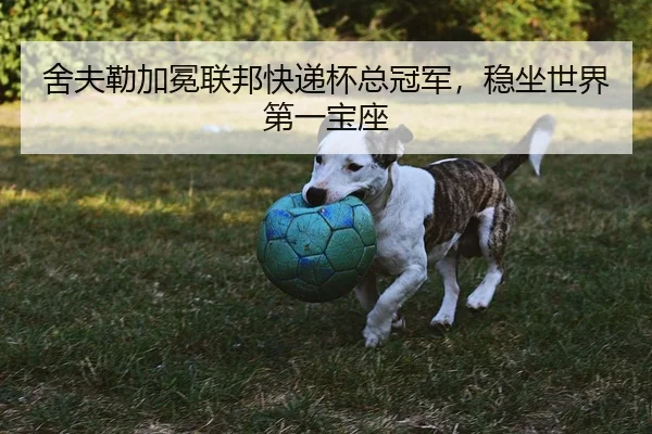舍夫勒加冕联邦快递杯总冠军，稳坐世界第一宝座